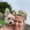 dog-boarding-stonington-kennels